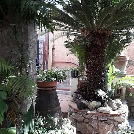 Andromaco Palace Ξενοδοχείο 3*